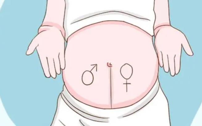 阴超显示双侧卵巢中只有5个窦卵泡还可以做试管婴儿吗